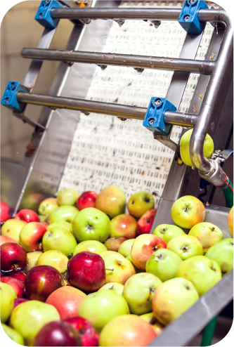 Common Challenges in Food & Beverage Manufacturing Common Challenges in Food & Beverage Manufacturing