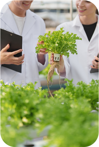 The True Impact of Quality Inconsistency